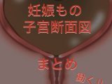 動く‼︎妊娠もの断面図もの まとめ